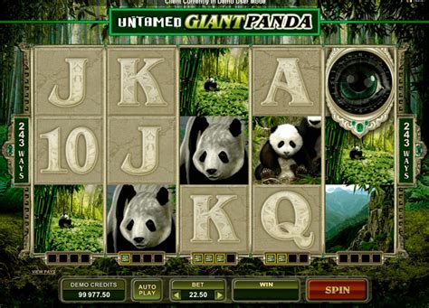 Untamed Giant Panda Betsson